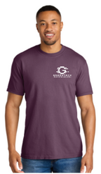 Comfort Colors ® Heavyweight Ring Spun Tee - 1717